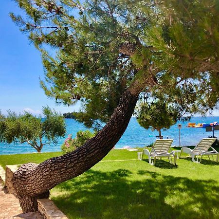 Al Mare Apartments Rovinj Exteriör bild